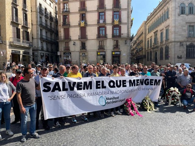 Els manifestants a la plaça Sant Jaume de Barcelona 