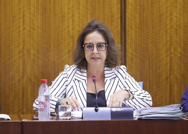 La consejera de Salud y Consumo, Catalina García, en comisión parlamentaria
