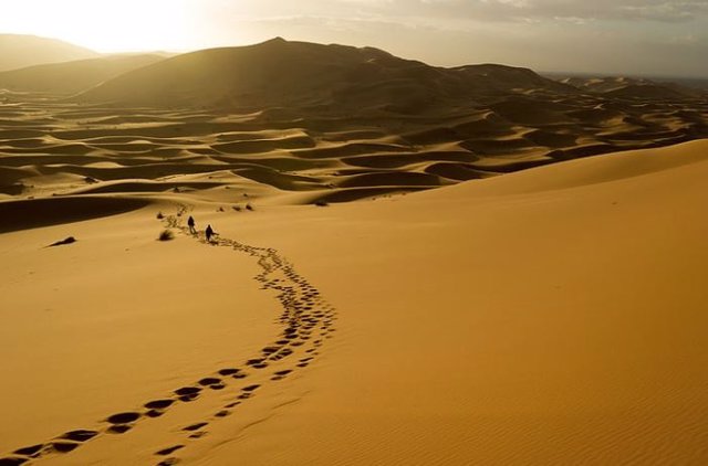 Ruta por el desierto