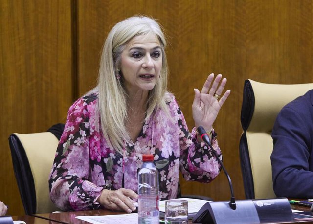 La consejerar de Desarrollo Educativo y FP, Patricia del Pozo, en comisión parlamentaria