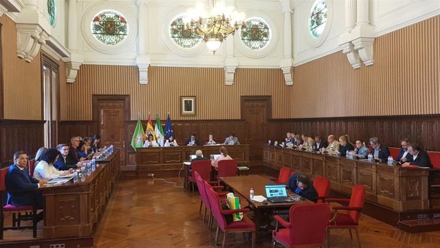 Pleno ordinario de la Diputación.