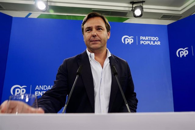 El secretario general del PP de Andalucía, Antonio Repullo