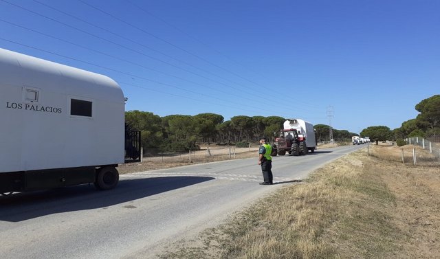 Salida de una hermandad por la carretera de El Rocío (Huelva).