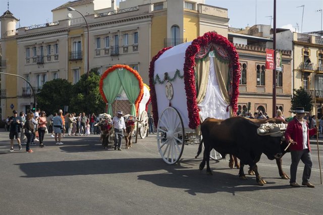Varias carretas de la Hermandad del Rocío de Sevilla camino a la aldea almonteña. 