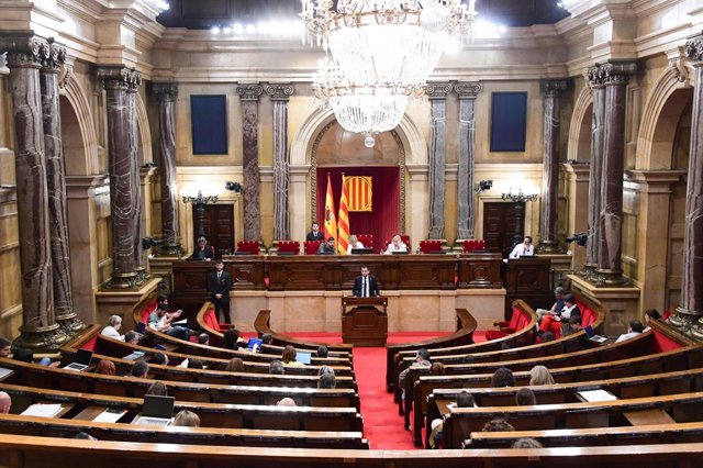 El diputat Ferran Estruch presenta la moció durant el ple.