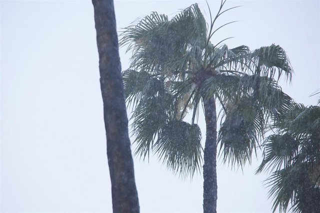 Fuertes lluvias en el Parlamento Andalucía , a 18 de mayo de 2023, en Sevilla, (Andalucía, España). La Agencia Estatal de Meteorología acierta y llueve sobre Sevilla. Esta medio día a comenzado a llover según lo previsto por la Aemet.