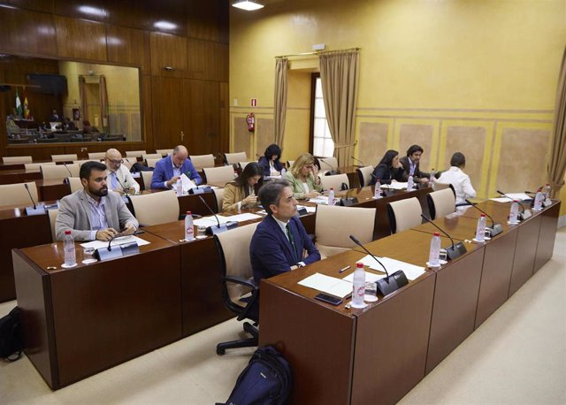 Diputados en la comisión de Fomento, Articulación del Territorio y Vivienda del Parlamento andaluz. (Foto de archivo).