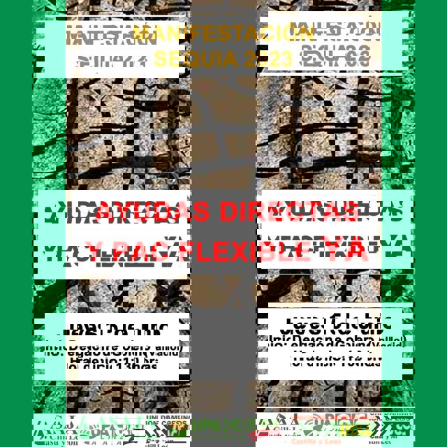 Cartel de la manifestación de las OPA en unidad de acción