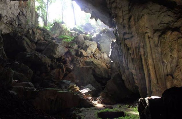 Mirando hacia la entrada de la cueva Tam Pà Ling desde el suelo de la cueva. El pozo de excavación está a la izquierda de esta ubicación.