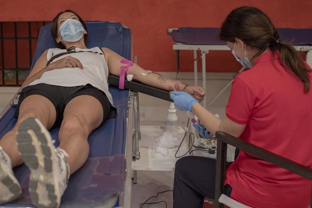 Una persona dona sangre en la sede de la Fundación Cajasol, en el marco de la jornada maratoniana que organiza el Centro Regional de Transfusión. 