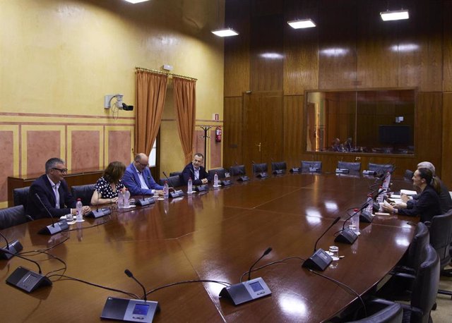 Reunión de la comisión de investigación sobre la Faffe en el Parlamento andaluz.