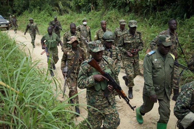 Archivo - Operación militar contra las ADF en República Democrática del Congo (RDC)
