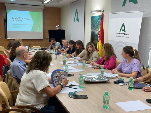 Comisón provincial de violencia de género