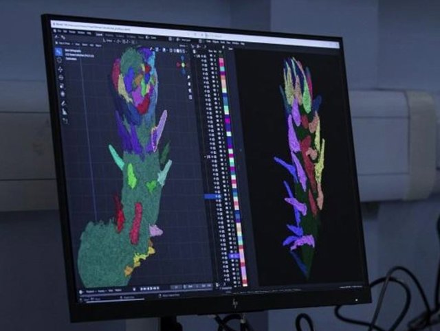 Recreación 3D de la hoja de una planta de hace 400 millones de años