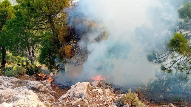 Incendio en el paraje El Mosquín de Canillas de Albaida