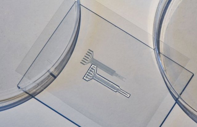 Los ingenieros del MIT desarrollaron un material similar a la gelatina sin metales que es tan suave y resistente como el tejido biológico