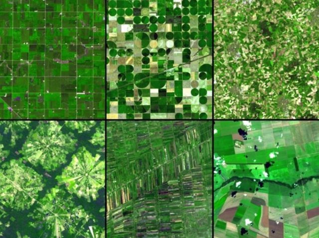 En todo el mundo, las prácticas agrícolas se han desarrollado en función de la topografía, el tipo de suelo, el tipo de cultivo, la precipitación anual y la tradición.