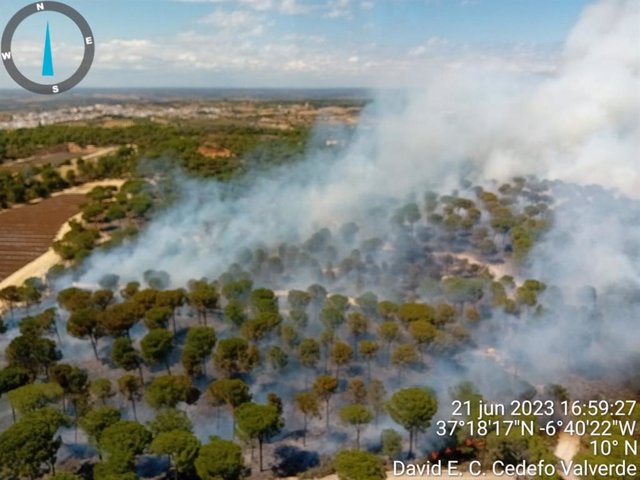 Incendio declarado en El Corchito de Bonares.