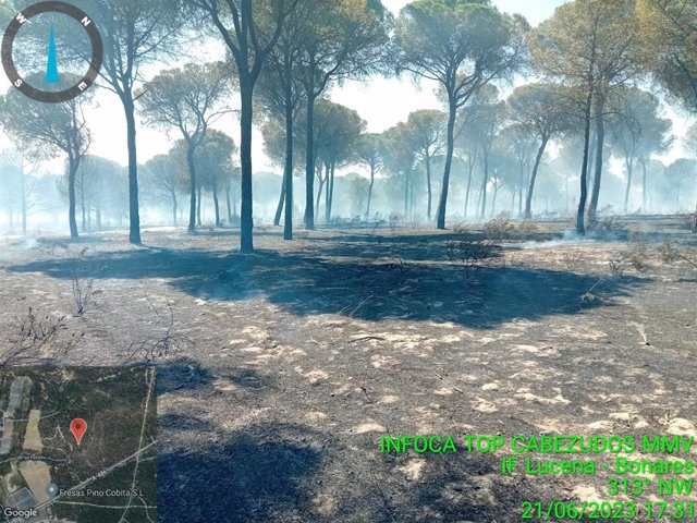 Imagen del incendio de Bonares (Huelva) tras ser estabilizado por los efectivos del Plan Infoca.