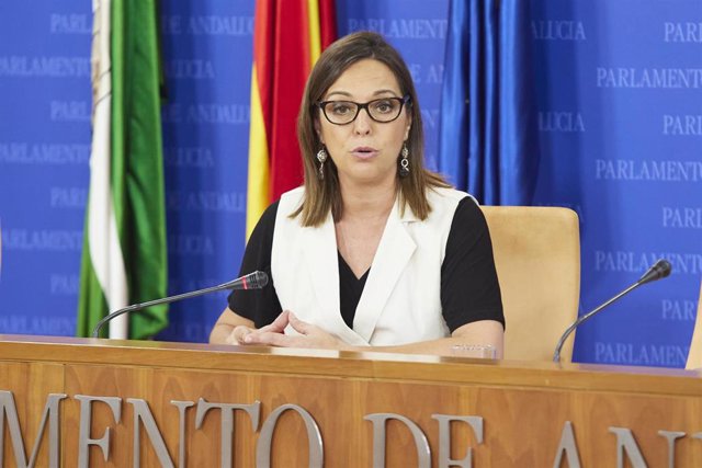 La portavoz adjunta del grupo parlamentario PSOE-A, Isabel Ambrosio, en una foto de archivo en rueda de prensa en el Parlamento andaluz.