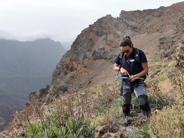 CUARTO INVENTARIO DE FLORA Y VEGETACI?N Y EL SEGUIMIENTO DE RECURSOS NATURALES 2021/2022/2023 EN EL PARQUE NACIONAL DE LA CALDERA DE TABURIENTE,