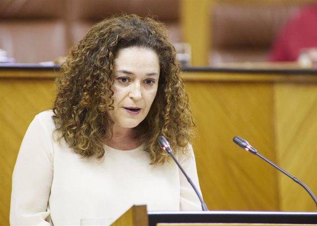 La portavoz de Por Andalucía, Inmaculada Nieto, en el Pleno del Parlamento andaluz.