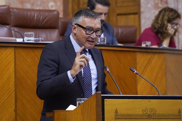El portavoz de Vox en el Parlamento andaluz, Manuel Gavira, este miércoles durante su intervención en el Pleno del debate sobre la situación política de Andalucía. 