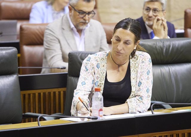 La consejera de Inclusión Social, Juventud, Familias e Igualdad, Loles López, en el pleno del Parlamento (Foto de archivo).