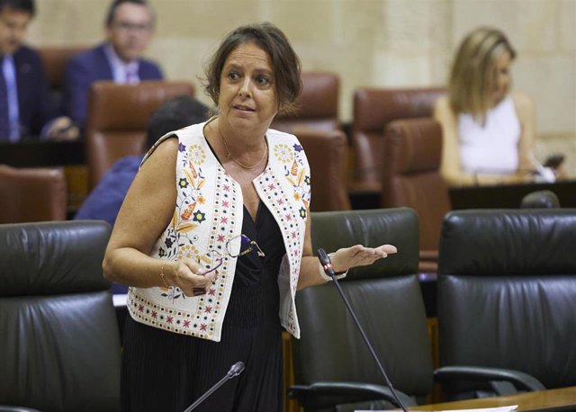 La consejera de Salud y Consumo, Catalina García, en el pleno del Parlamento