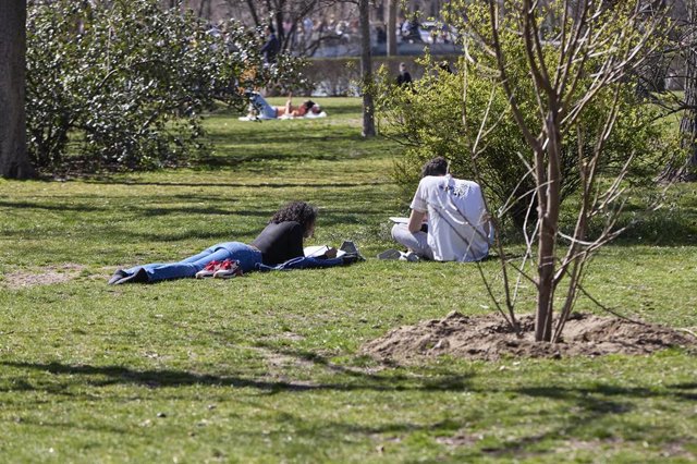 Archivo - Una pareja lee en un parque.