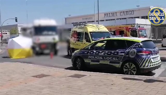 Efectivos policiales y sanitarios intervienen tras el atropello de un ciclista en La Negrilla.