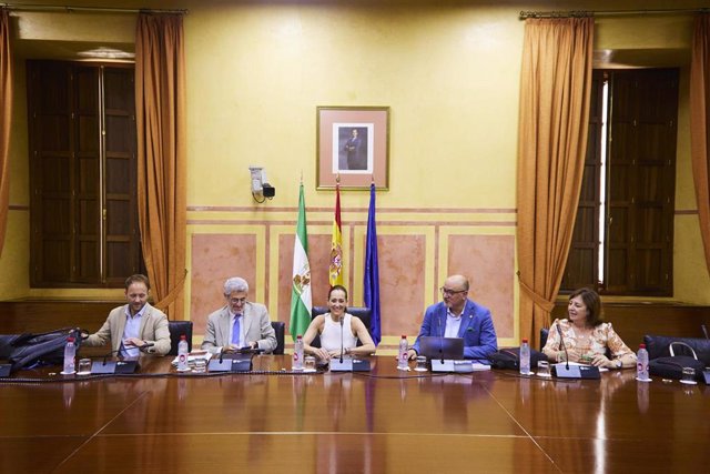 Imagen de la reunión en la tarde de este martes de la comisión parlamentaria de investigación de la Faffe.