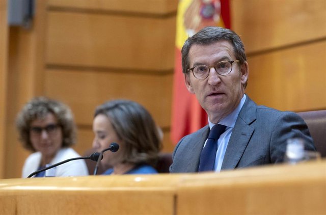 Archivo - El presidente del PP, Alberto Núñez Feijóo, preside la reunión plenaria de los grupos parlamentarios del Partido Popular del Congreso de los Diputados, en el Senado y en el Parlamento Europeo, en el Senado, a 27 de mayo de 2022, en Madrid (Españ
