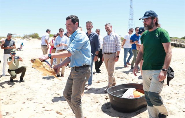 El presidente de la Junta de Andalucía, Juanma Moreno, durante la suelta de una tortuga boba en el Paraje de Punta Candor en Rota (Cádiz) en un acto de 16 de junio.