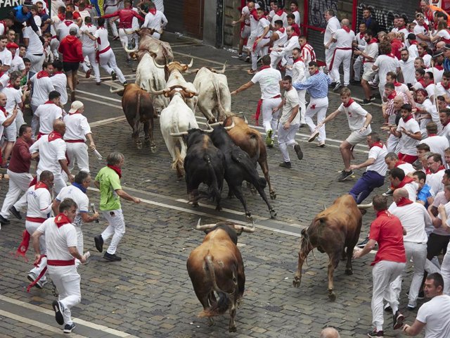 Primer encierro de los Sanfermines de 2023 con toros de la ganadería gaditana de La Palmosilla, que han protagonizado una carrera veloz y con muchas caídas de los mozos en el recorrido.