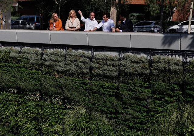 (I-D) La CEO de Calle30, Rosalía Gonzalo; la delegada de Obras y Equipamientos, Paloma García Romero; el delegado de Urbanismo, Medio Ambiente y Movilidad, Borja Carabante, y el alcalde de Madrid, José Luis Martínez-Almeida.