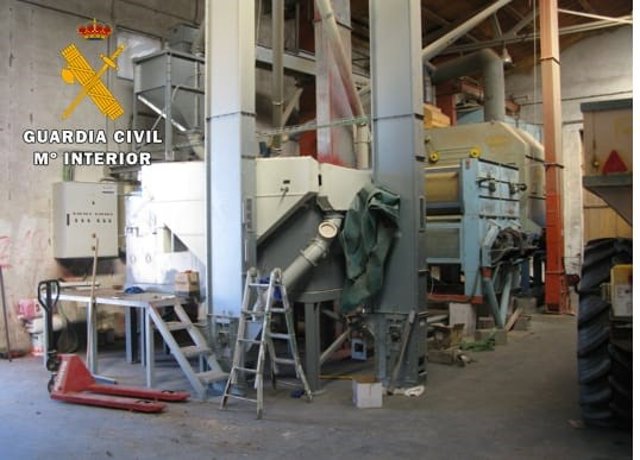 Medio centenar de investigados en Valladolid por venta y siembra fraudulenta de semillas sin pagar el canon.