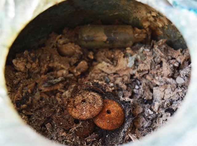 Encuentran un tesoro de ámbar del Mar Báltico en el ajuar funerario de una tumba romana en Carmona