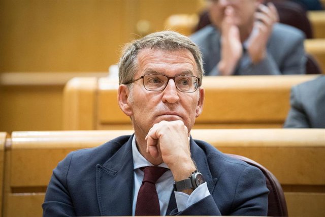 Archivo - El presidente del PP, Alberto Núñez Feijóo, durante una sesión plenaria en el Senado, a 17 de mayo de 2023, en Madrid (España). 