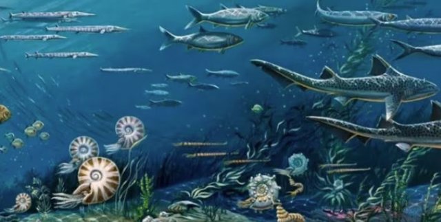 El movimiento en las placas tectónicas de la Tierra provoca indirectamente explosiones de biodiversidad en ciclos de 36 millones de años al obligar a los niveles del mar a subir y bajar,