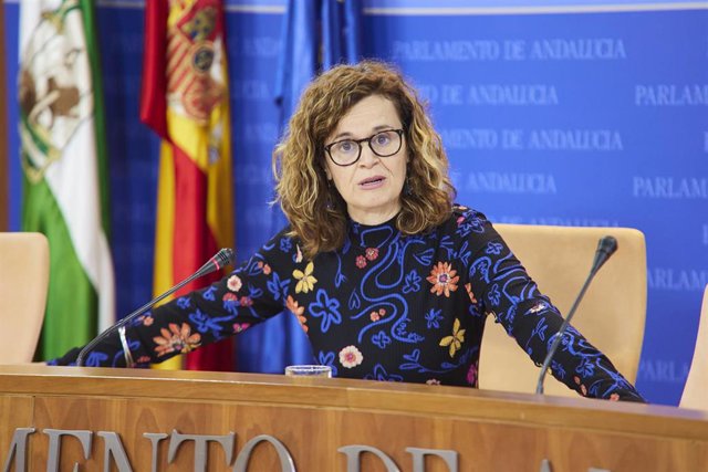 La portavoz adjunta del Grupo Por Andalucía, Esperanza Gómez, este miércoles en rueda de prensa. 
