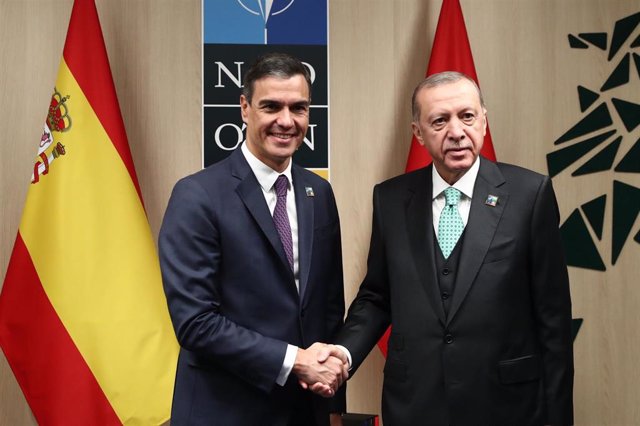 El presidente del Gobierno, Pedro Sánchez, y el presidente de Turquía, Recep Tayyip Erdogan, durante su reunión bilateral en los márgenes de la Cumbre de la OTAN en Lituania