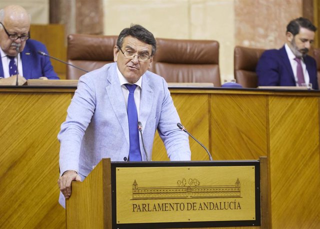 El parlamentario de Vox, Rafael Segovia, este jueves en la tribuna de oradores del Parlamento de Andalucía.