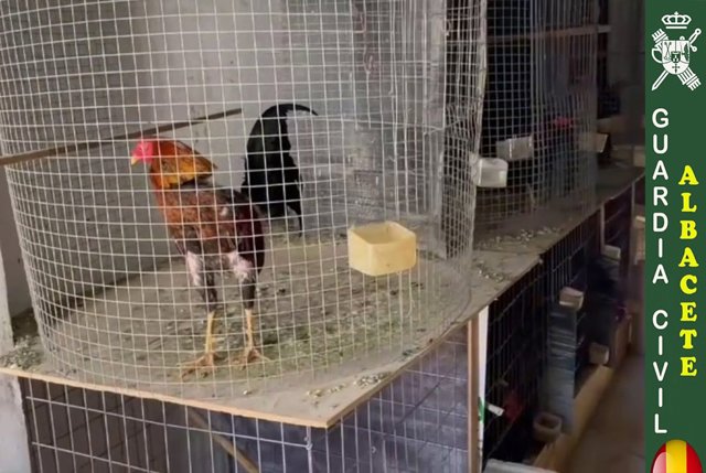 Operación de la Guardia Civil en La Roda.