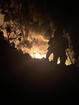 Labores de extinción del incendio forestal de Puntagorda, en La Palma