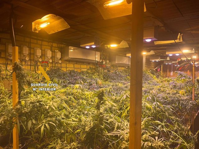 Operación 'Dope' de la Guardia Civil