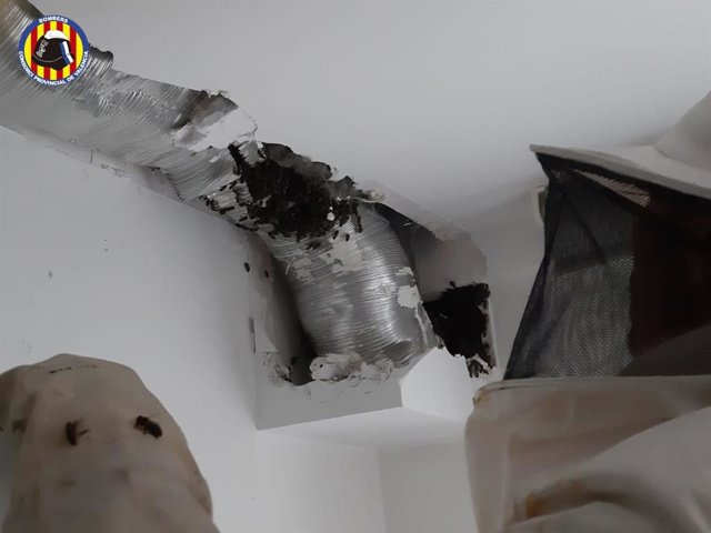 Bomberos de Requena (Valencia) han retirado este fin de semana una colmena de abejas que se encontraba en el tubo extractor de la cocina de un piso.