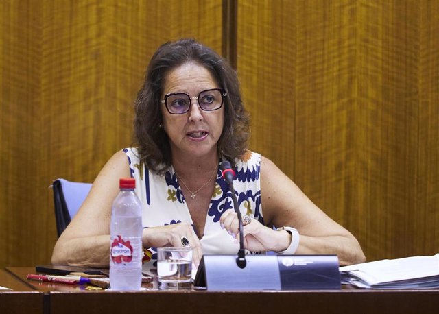 La consejera de Salud y Consumo, Catalina García, en comisión parlamentaria