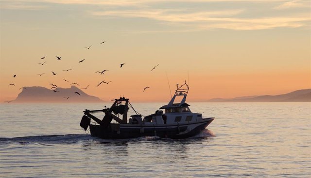 Archivo - Barco de pesca de la flota andaluza, archivo 