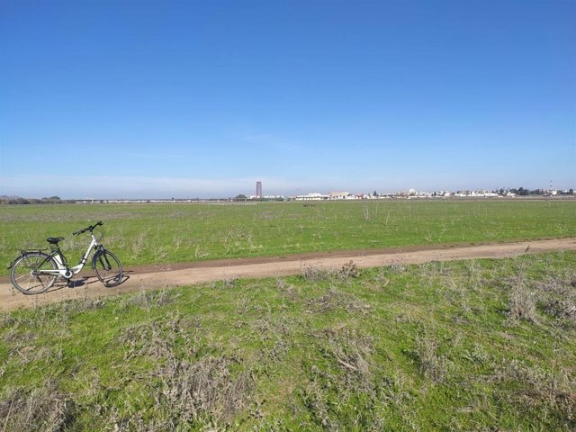 Vista de la dehesa de Tablada.